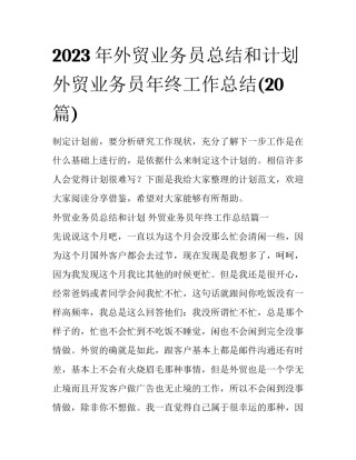 2023年外贸业务员总结和计划 外贸业务员年终工作总结(20篇)