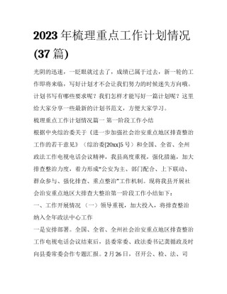 2023年梳理重点工作计划情况(37篇)