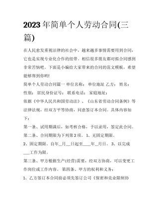 2023年简单个人劳动合同(三篇)