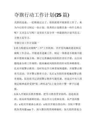 夺旗行动工作计划(25篇)