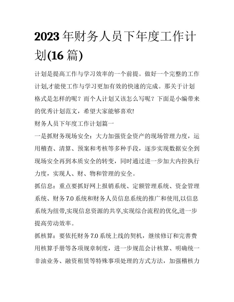 2023年财务人员下年度工作计划(16篇)_第1页