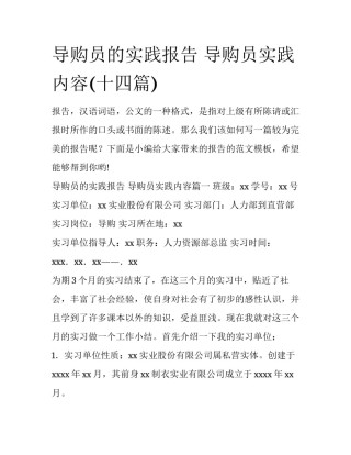 导购员的实践报告 导购员实践内容(十四篇)