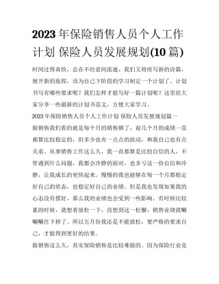 2023年保险销售人员个人工作计划 保险人员发展规划(10篇)