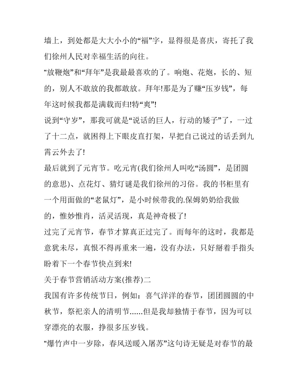 春节营销活动方案 春节促销活动方案(九篇)_第2页