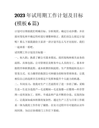 2023年试用期工作计划及目标(模板6篇)