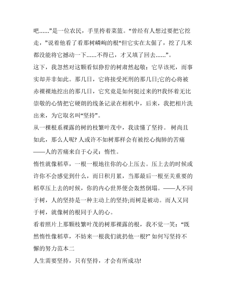 坚持不懈的努力范本 坚持不懈 努力(3篇)_第2页