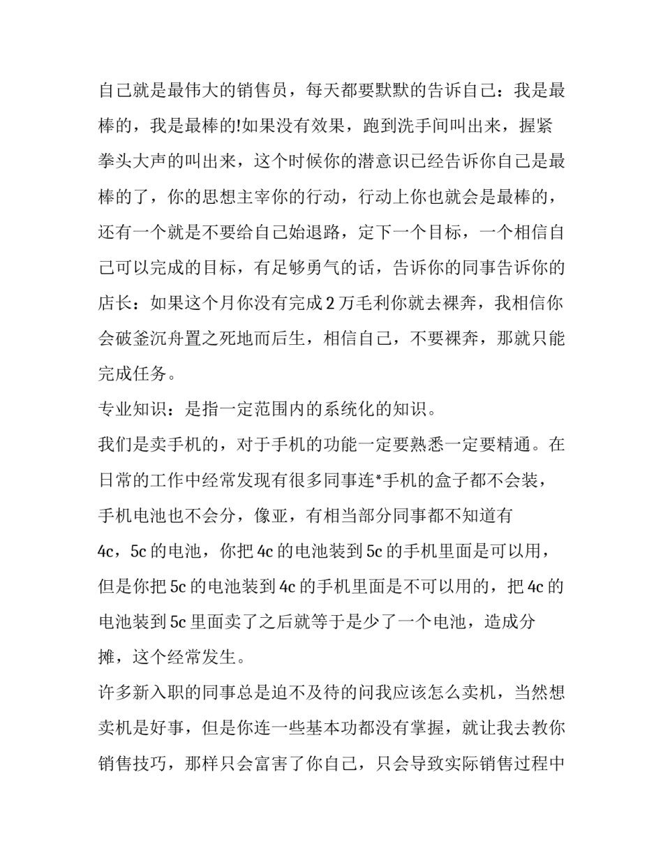 手机销售的工作计划 手机销售的工作计划怎么写(17篇)_第2页
