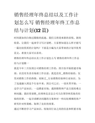销售经理年终总结以及工作计划怎么写 销售经理年终工作总结与计划(12篇)