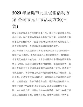 2023年圣诞节元旦促销活动方案 圣诞节元旦节活动方案(三篇)