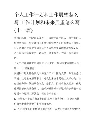 个人工作计划和工作展望怎么写 工作计划和未来展望怎么写(十一篇)