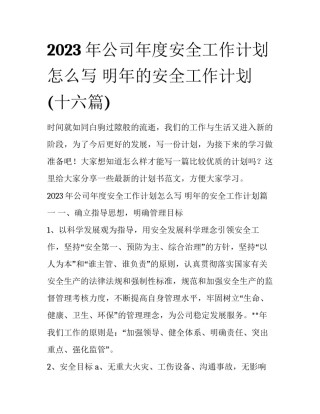 2023年公司年度安全工作计划怎么写 明年的安全工作计划(十六篇)