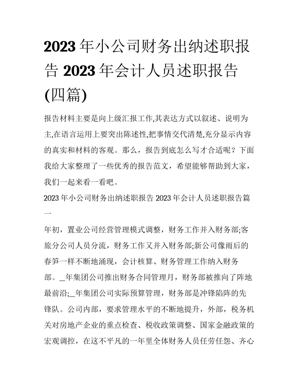 2023年小公司财务出纳述职报告 2023年会计人员述职报告(四篇)_第1页