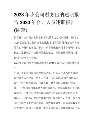 2023年小公司财务出纳述职报告 2023年会计人员述职报告(四篇)