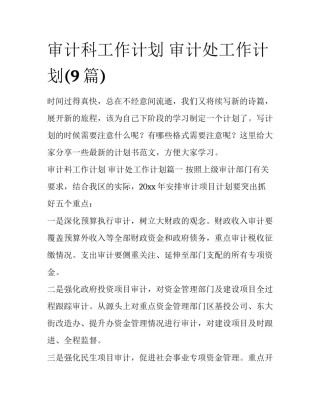 审计科工作计划 审计处工作计划(9篇)