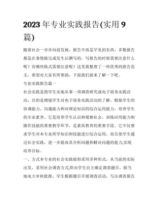 2023年专业实践报告(实用9篇)
