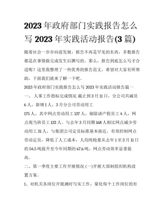 2023年政府部门实践报告怎么写 2023年实践活动报告(3篇)