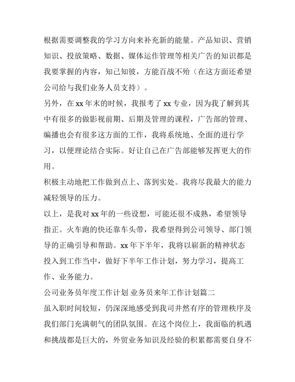 最新公司业务员年度工作计划 业务员来年工作计划(七篇)_第3页