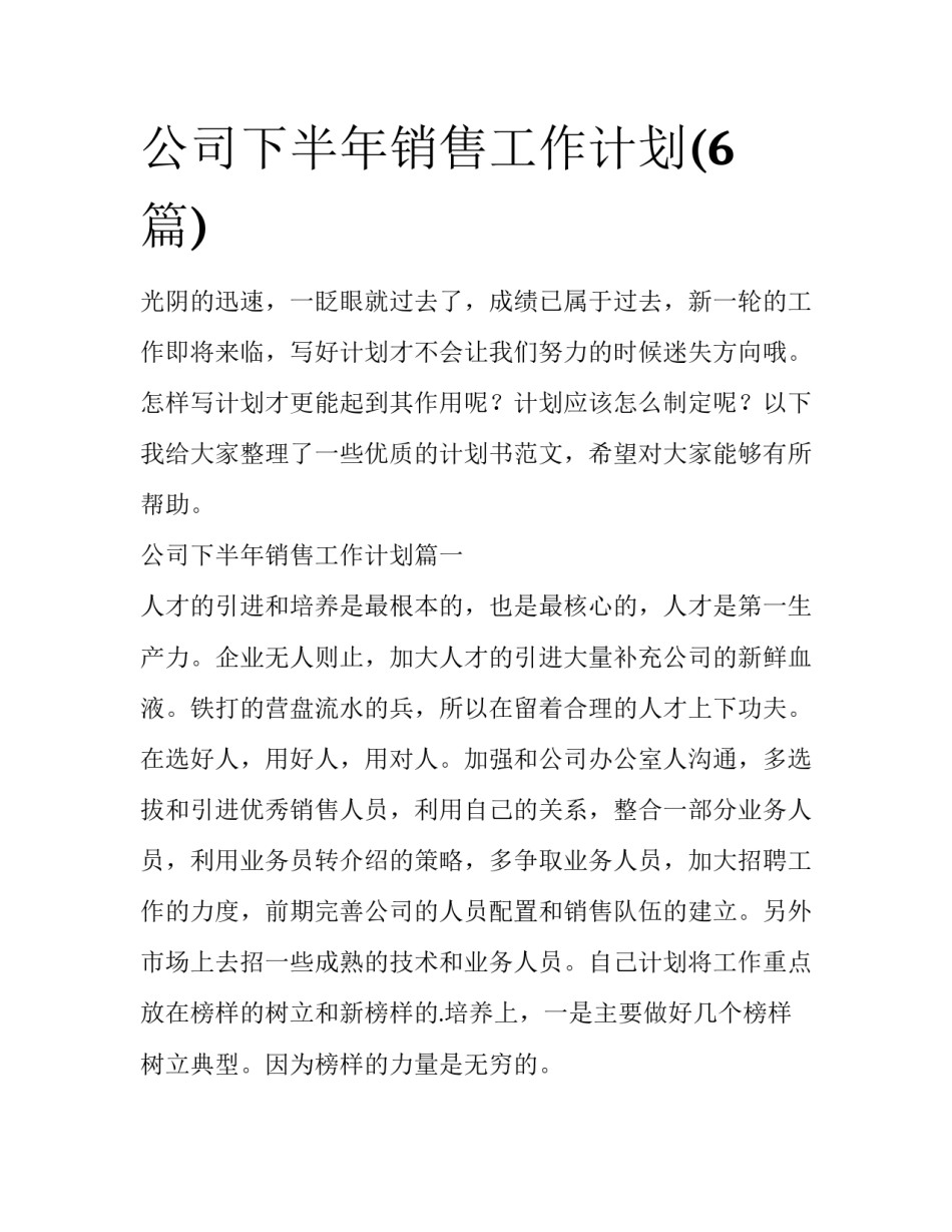 公司下半年销售工作计划(6篇)_第1页