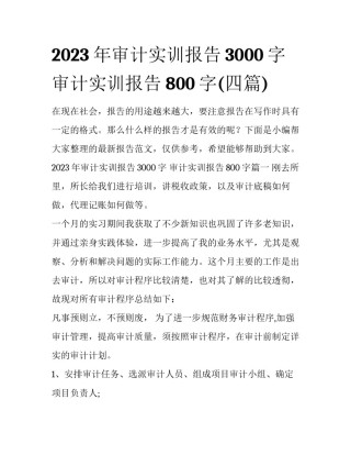 2023年审计实训报告3000字 审计实训报告800字(四篇)