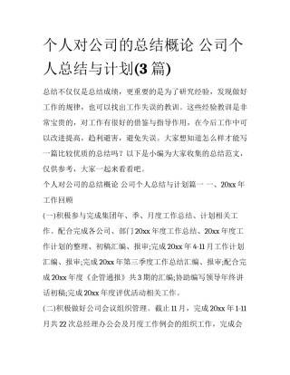 个人对公司的总结概论 公司个人总结与计划(3篇)