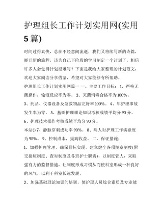 护理组长工作计划实用网(实用5篇)