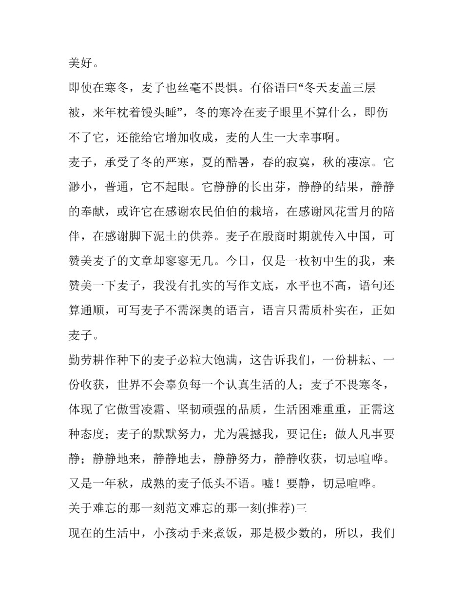 难忘的那一刻范文难忘的那一刻 《难忘的那一刻》600字作文(九篇)_第3页