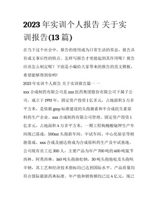 2023年实训个人报告 关于实训报告(13篇)
