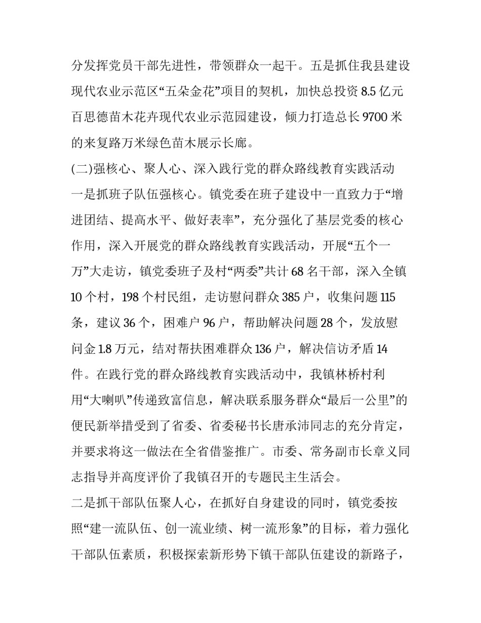 乡镇政府年终工作总结及思路汇报 乡镇年度工作总结及明年工作计划(十三篇)_第3页