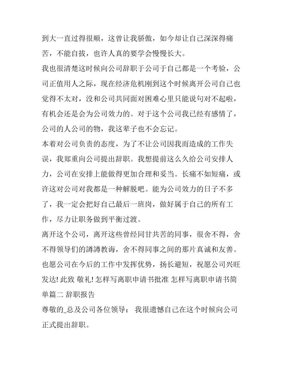 怎样写离职申请书批准 怎样写离职申请书简单(十七篇)_第2页