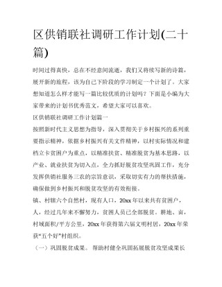 区供销联社调研工作计划(二十篇)
