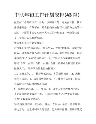 中队年初工作计划安排(43篇)