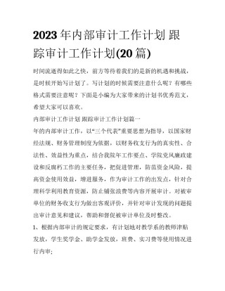 2023年内部审计工作计划 跟踪审计工作计划(20篇)