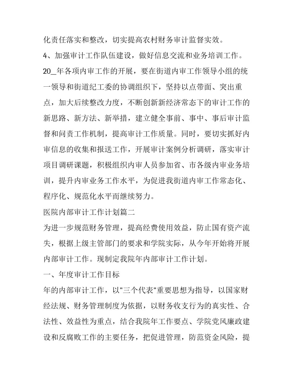 2023年医院内部审计工作计划(20篇)_第3页