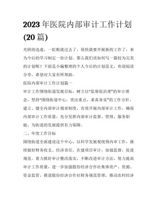 2023年医院内部审计工作计划(20篇)