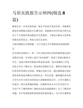 马原实践报告示例网(精选8篇)