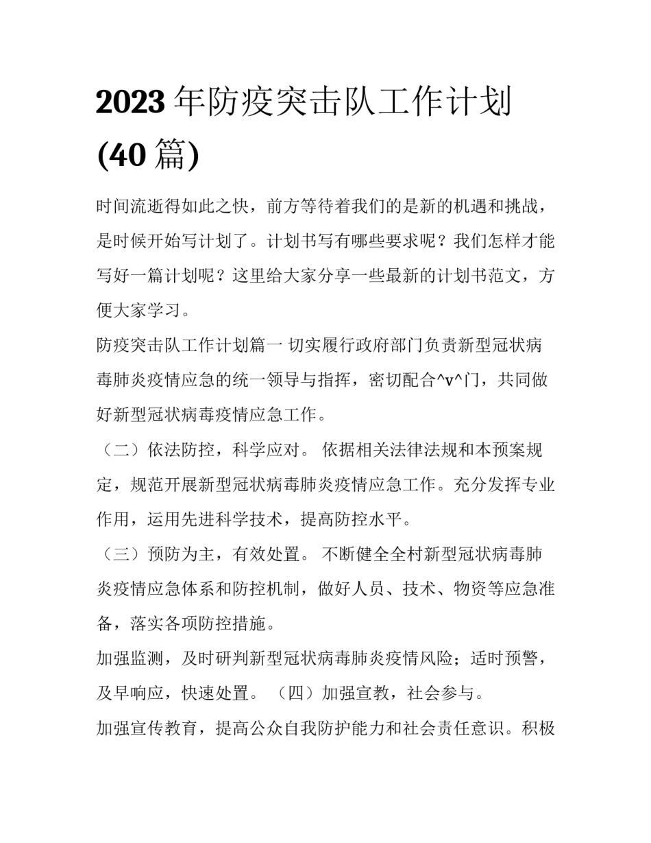 2023年防疫突击队工作计划(40篇)_第1页