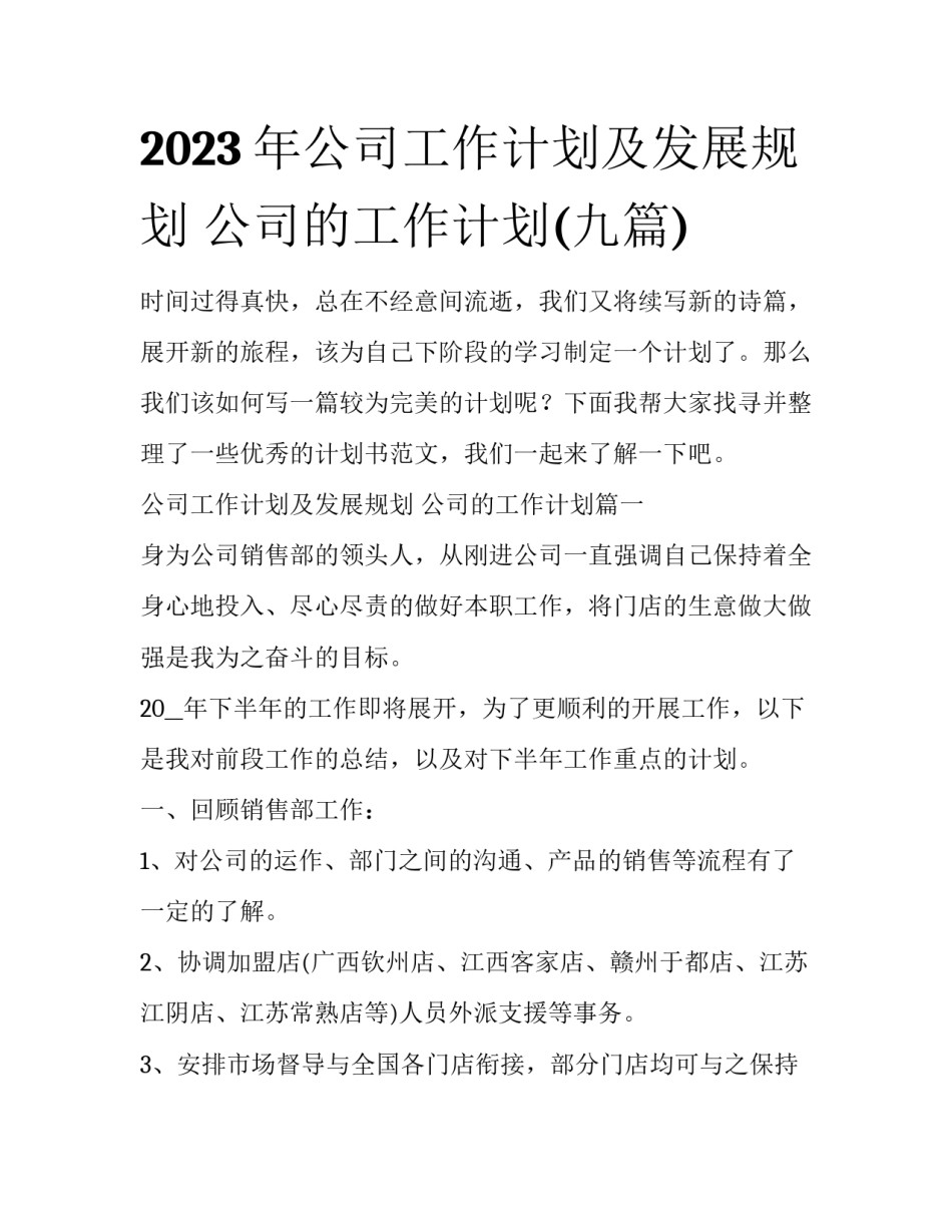 2023年公司工作计划及发展规划 公司的工作计划(九篇)_第1页