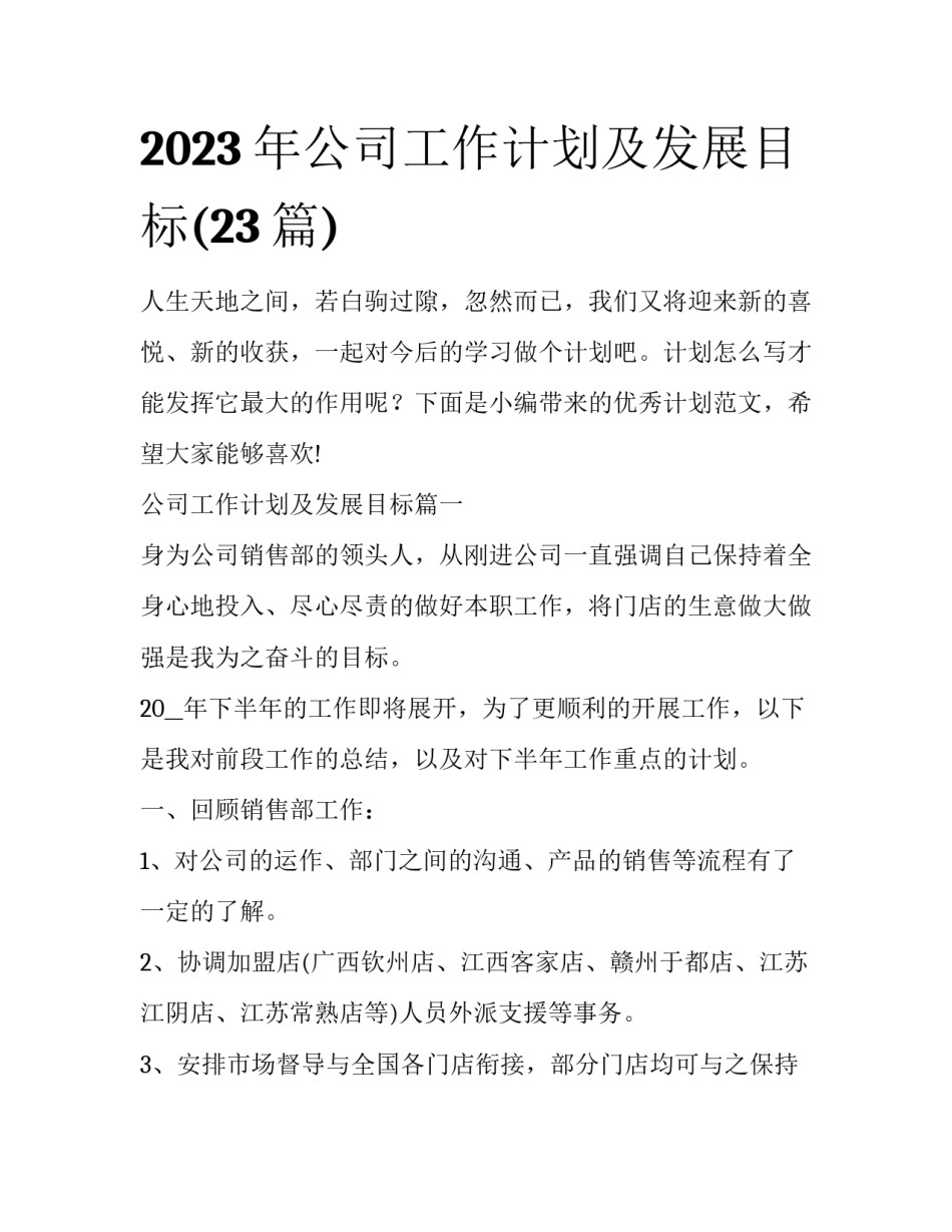 2023年公司工作计划及发展目标(23篇)_第1页