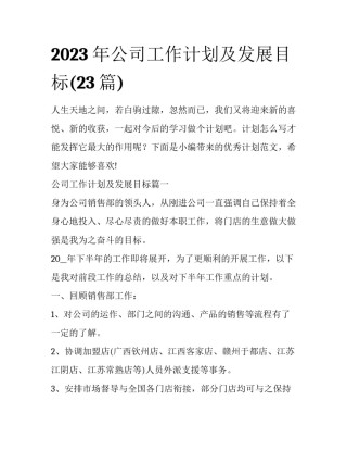 2023年公司工作计划及发展目标(23篇)
