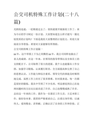 公交司机特殊工作计划(二十八篇)
