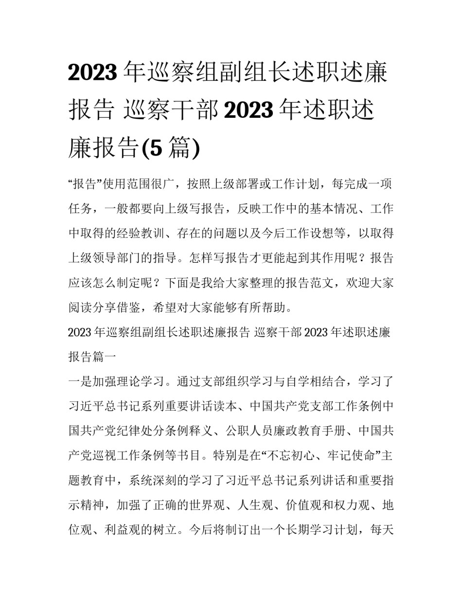 2023年巡察组副组长述职述廉报告 巡察干部2023年述职述廉报告(5篇)_第1页
