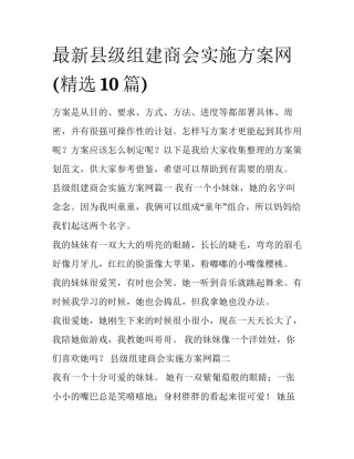 最新县级组建商会实施方案网(精选10篇)