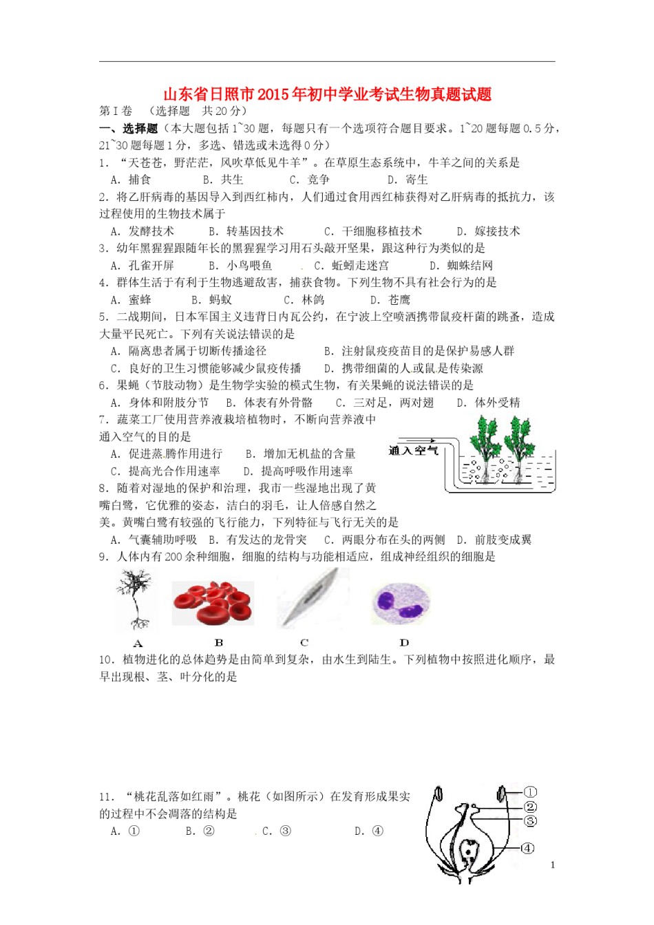 山东省日照市2015年中考生物真题试题（含答案）.doc_第1页