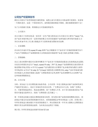 公司生产经营策划书