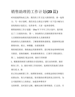 销售助理的工作计划(23篇)