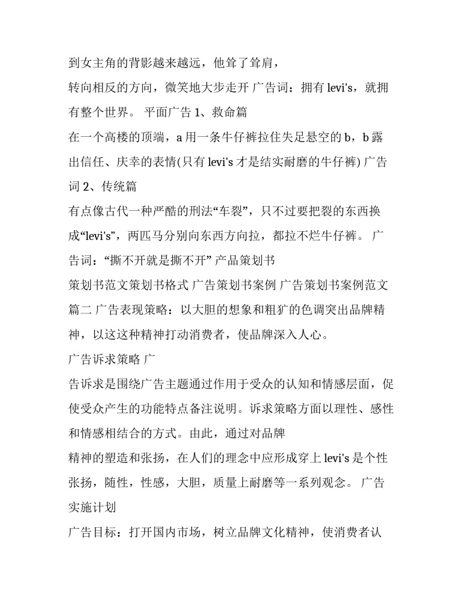 广告策划书案例 广告策划书案例范文(4篇)_第2页