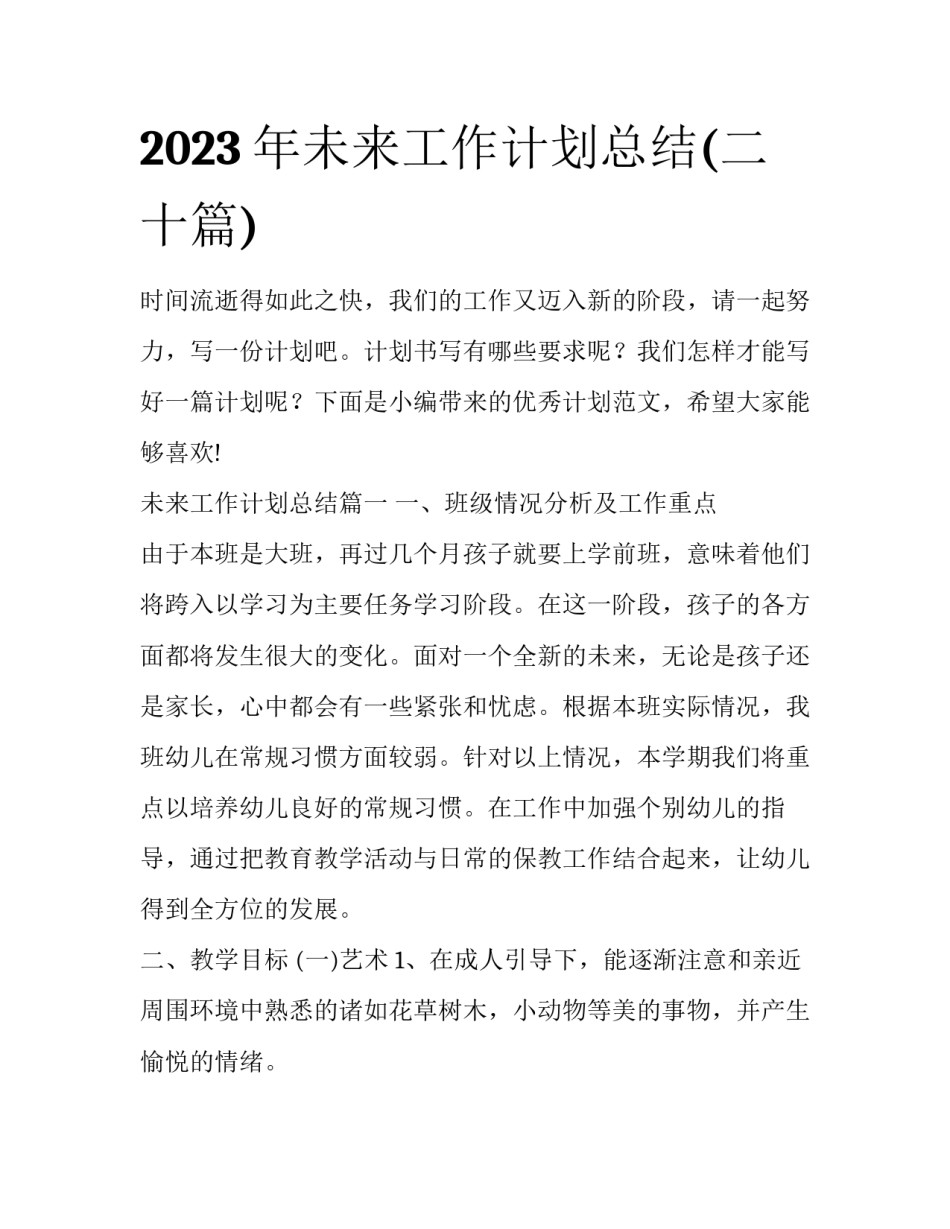 2023年未来工作计划总结(二十篇)_第1页