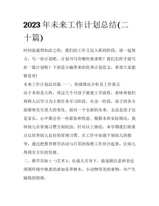 2023年未来工作计划总结(二十篇)