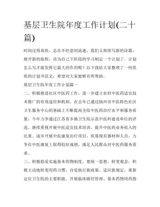 基层卫生院年度工作计划(二十篇)
