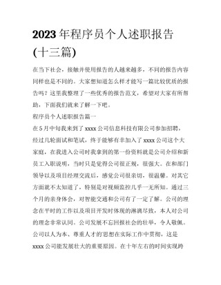 2023年程序员个人述职报告(十三篇)